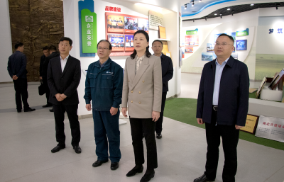 黄冈市委副书记、代市长刘洁来武穴调研
