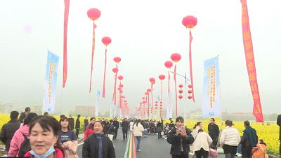 武穴：油菜花海 喜迎八方宾客