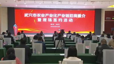以花为媒  我市集中签约11个项目