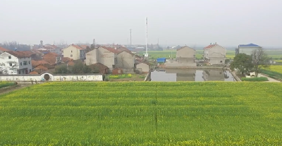 万丈湖街道办事处：守好粮食安全底线 促进农民持续增收