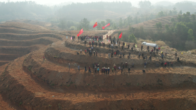 植树节前夕，武穴这个村在荒山上种下了好“钱“景