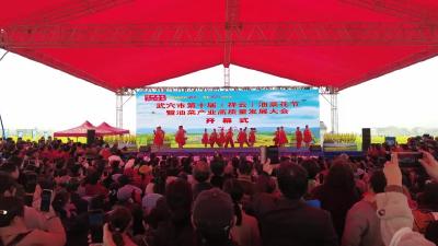 武穴油菜花节文艺表演精彩纷呈