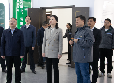 黄冈市委副书记、代市长刘洁来武穴调研