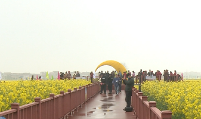 全国各地摄影爱好者镜头记录武穴花海美景