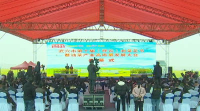东坡庙会·2023花季 武穴市第十届（祥云）油菜花节暨油菜产业高质量发展大会盛大开幕