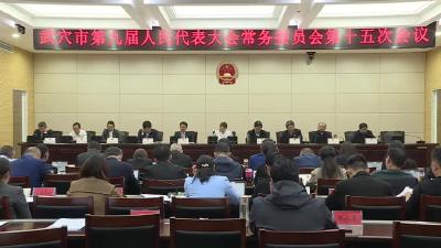 市九届人大常委会第十五次会议召开
