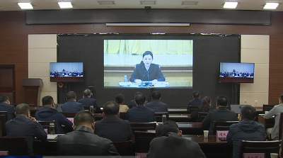 我市集中收听收看黄冈市企业上市工作推进视频会
