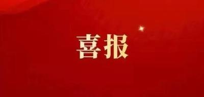 喜报！我市5个集体荣获“黄冈市青年文明号”称号！