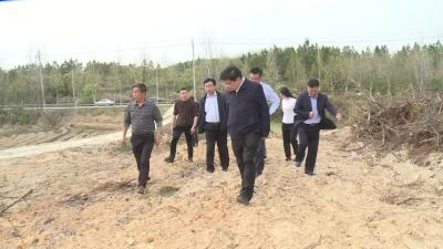 黄冈市林业局来我市调研油茶产业