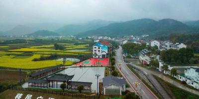 这群人，让春日农村公路“靓”起来