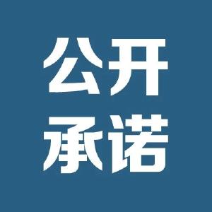 公开承诺｜国网武穴市供电公司：全面优化营商环境 提升供电服务效能