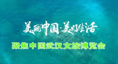 美丽中国 美好生活——聚焦中国武汉文旅博览会