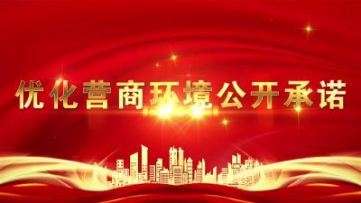 优化营商环境公开承诺 | 国网武穴市供电公司：全面优化营商环境 提升供电服务效能