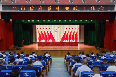 全市政府系统廉政工作会召开