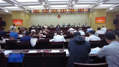 市九届人大常委会第十六次会议召开