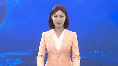 全市乡村振兴示范创建第一季度现场推进会