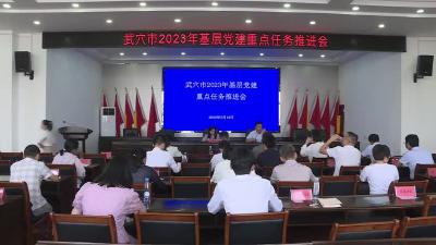 我市召开基层党建重点任务推进会暨二季度“双月拉练”活动