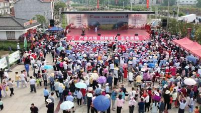 60年后再相会！64位老知青回“家”
