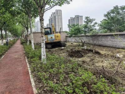 【城镇管理百日攻坚】上下联动，多措并举，武穴掀起美丽城乡建设新热潮（二十五）