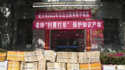 我市集中销毁非法出版物5000余册