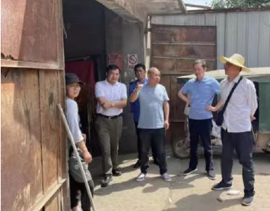 【城镇管理百日攻坚】上下联动，多措并举，武穴掀起美丽城乡建设新热潮（三十六）