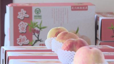 武穴王胜祖村：蜜桃熟了 村民笑了