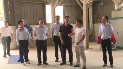 夏志军带队开展坚持“五共理念” 推进和美乡村建设乡村特色产业调研