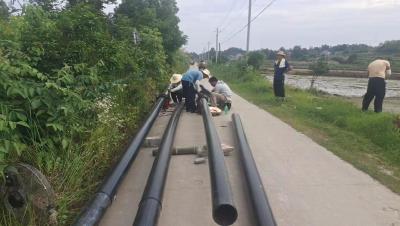 武穴市四望镇“水到渠成”解夏播之忧