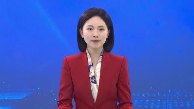 湖北国鼎华明纳米钙深加工项目投产暨年产10万吨纳米新材料项目开工仪式举行
