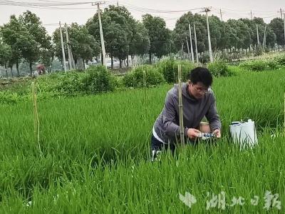 藏不住了！武穴“小农科院”和这里90后博士、硕士生们～