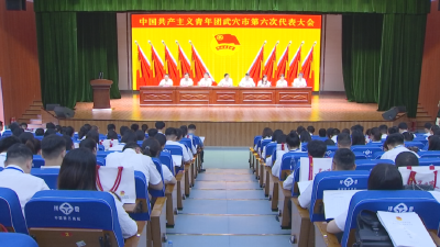 共青团武穴市第六次代表大会召开