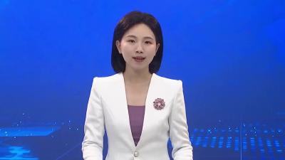 百人包粽大赛 “粽”享欢乐时光