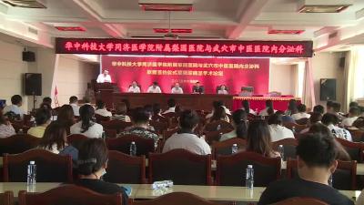市中医医院内分泌科与武汉梨园医院创面修复科签约专科联盟
