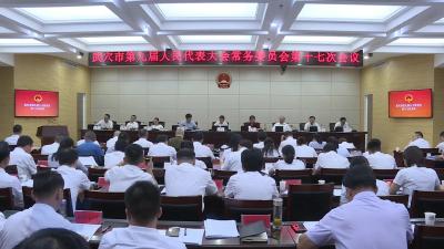 市九届人大常委会召开第十七次会议