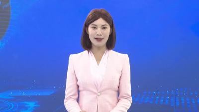 我市召开湖北省智能化新能源船舶产业园工作汇报和推进会