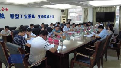 全市红色美丽村庄建设现场推进会召开