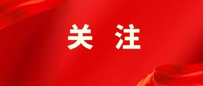 新闻多一点｜国际问题专家谈中阿元首会晤重要意义