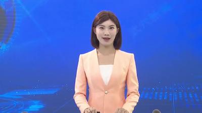 武穴市国土空间总体规划专家咨询会召开