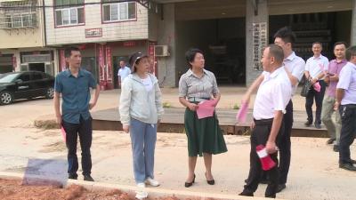 叶丽萍督办政协九届二次会议提案办理情况