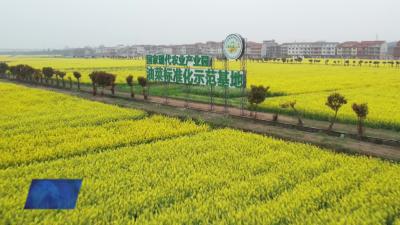 我市再添一家“国字号”科技小院
