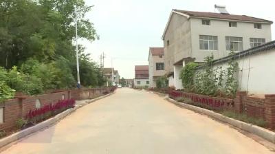乡村振兴新画卷 | 王胜祖村：实干为笔 书写美丽乡村新答卷