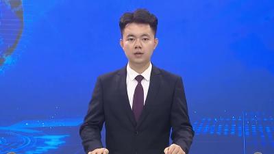 武穴：科学防治病虫害 虫口夺粮保丰收