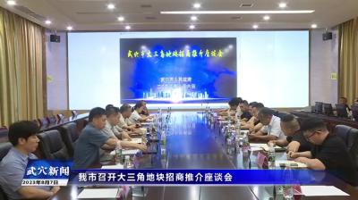 我市召开大三角地块招商推介座谈会