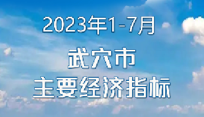 一图看懂武穴市1-7月主要经济指标