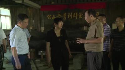 黄冈市政协主席洪再林来我市调研督导品牌建设工作