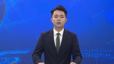我市召开口袋公园、道路景观品质提升等专项规划汇报会
