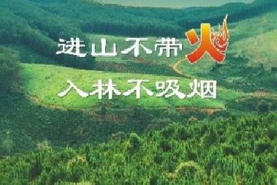 森林防火海报