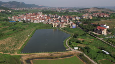 乡村振兴新画卷 | 大法寺镇梅均村：打造“红网格”  助力和美乡村建设