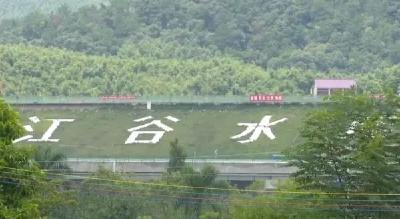 三男子河边野钓，两人不幸溺亡！