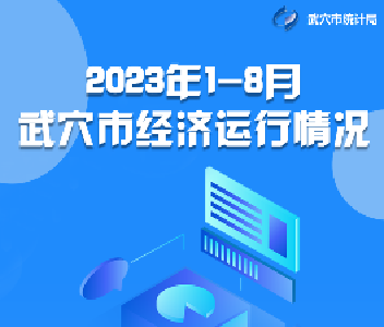 一图看懂武穴市1-8月主要经济指标
